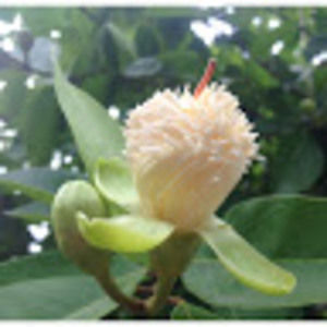 Meet your Posher, Kenneth